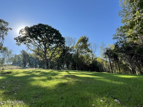 Lots & Acreage, Knoxville, TN