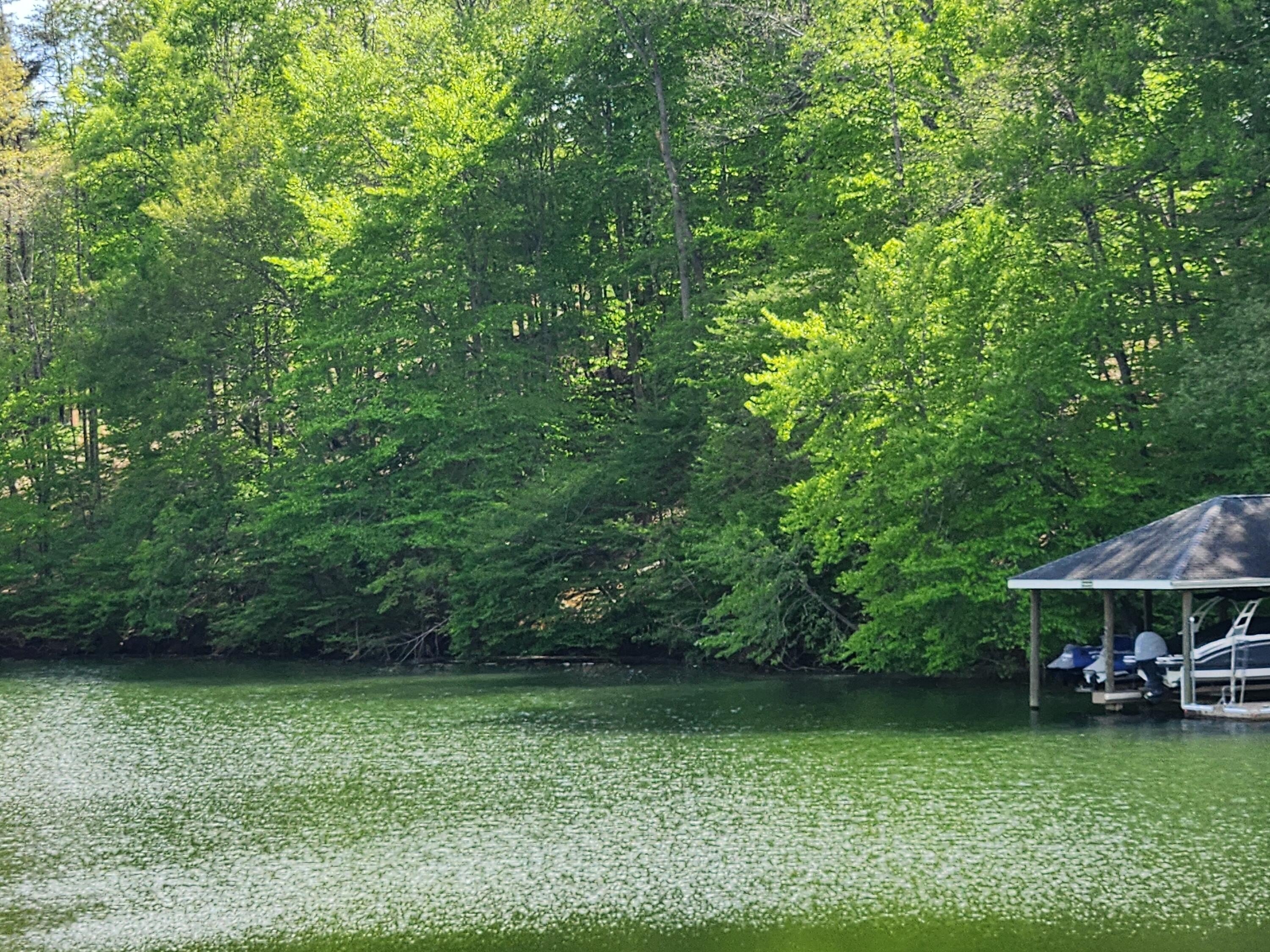 Waterfront Lot in Lakewatch Plantation