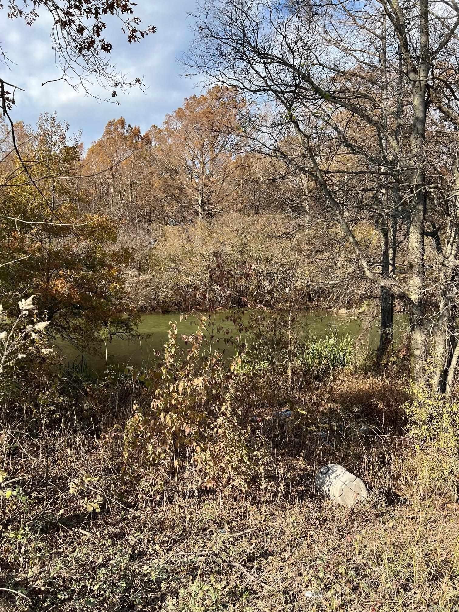 Manila, AR Land For Sale