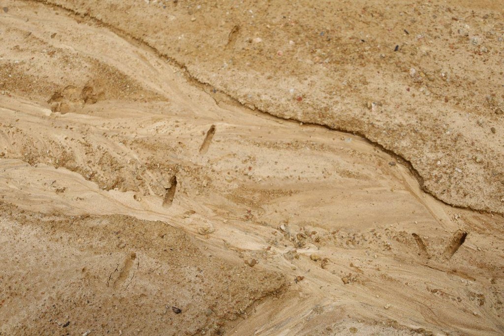Picture 39