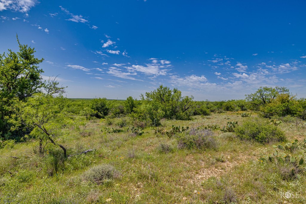 Picture 29