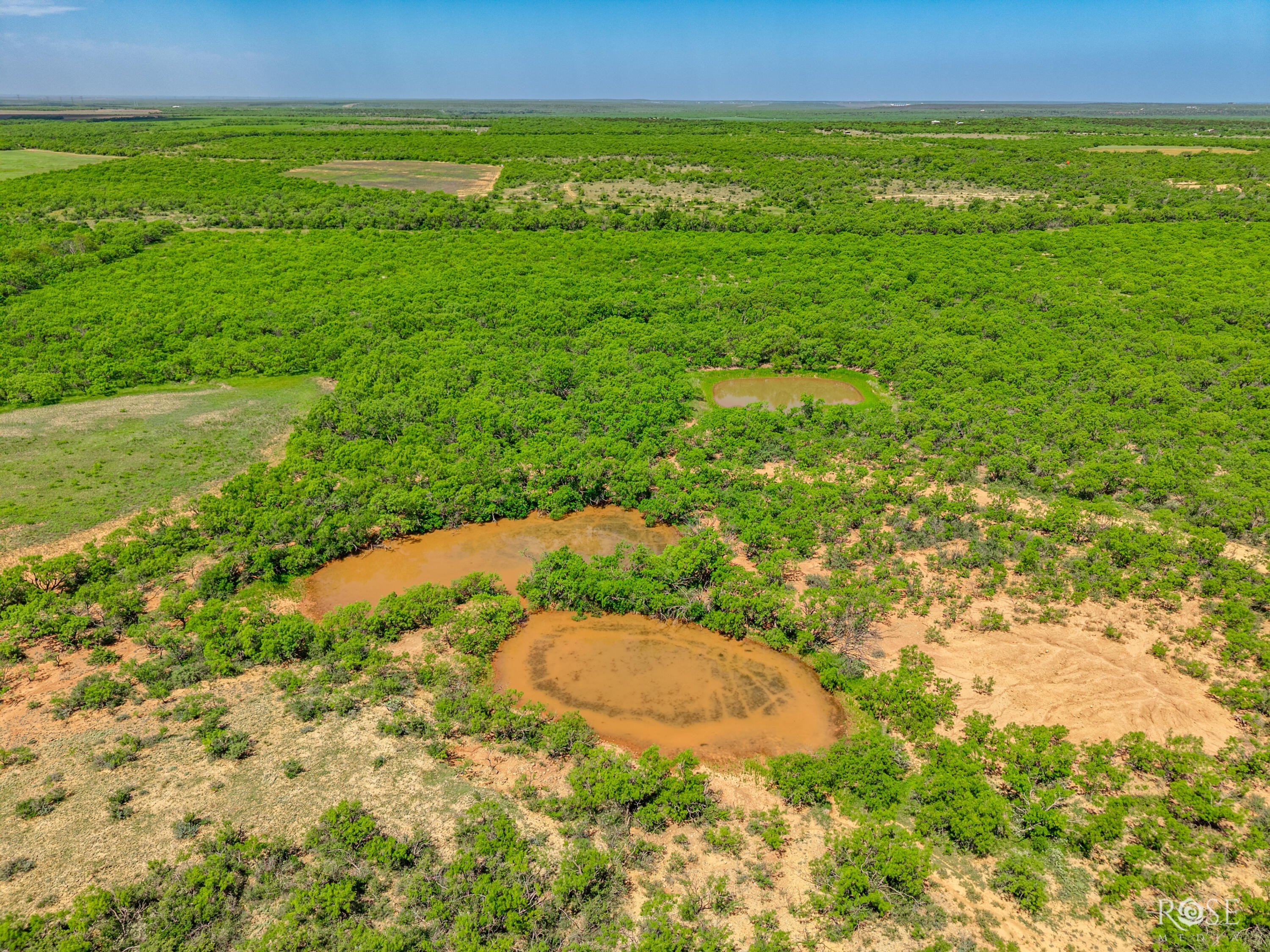 480 Acres of Farmland in Doole