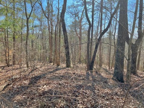 Ellijay, GA Vacant Lot