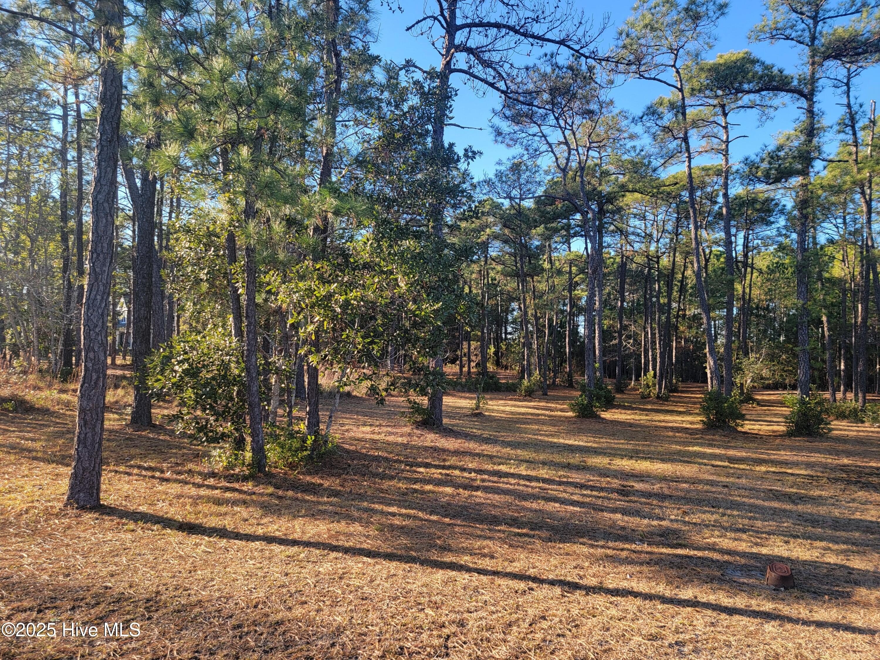 Ocean Isle Beach Homesite