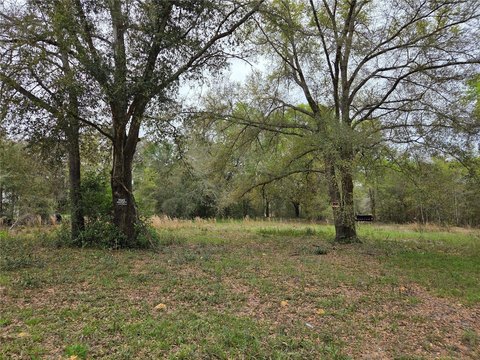 Land, WILLISTON, FL