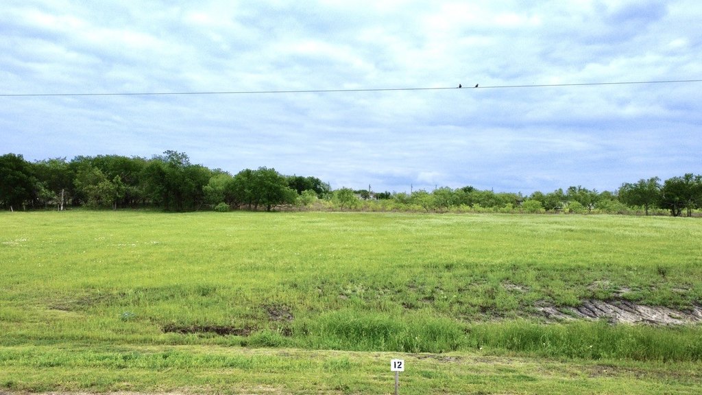 Picture 6