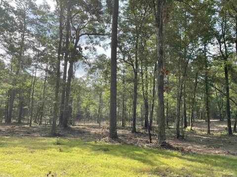 Unimproved Land - Clinton, LA