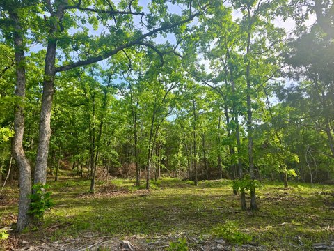 Wooded Recreational Land Retreat