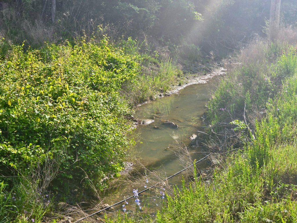 Picture 7