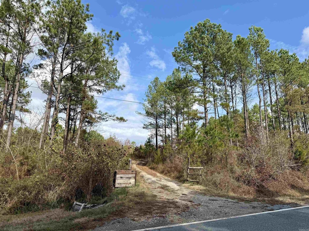 Picture 8