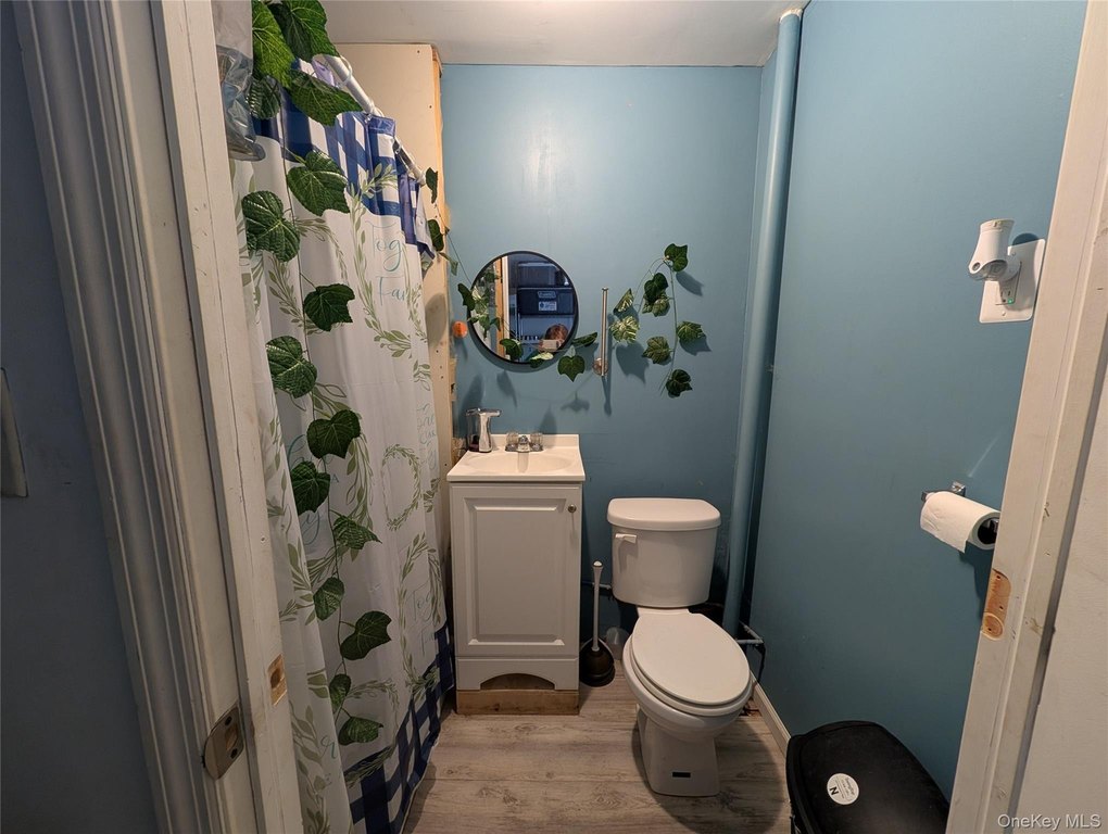 Picture 11