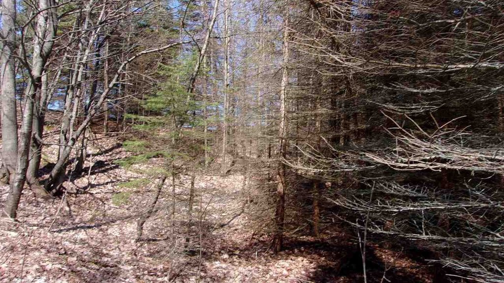 Picture 3