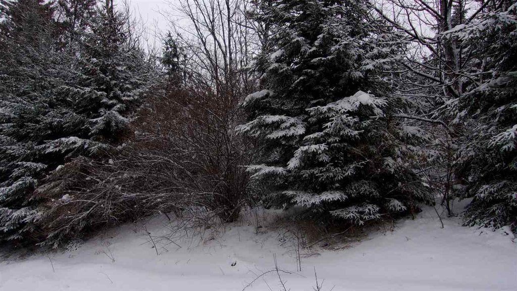 Picture 6