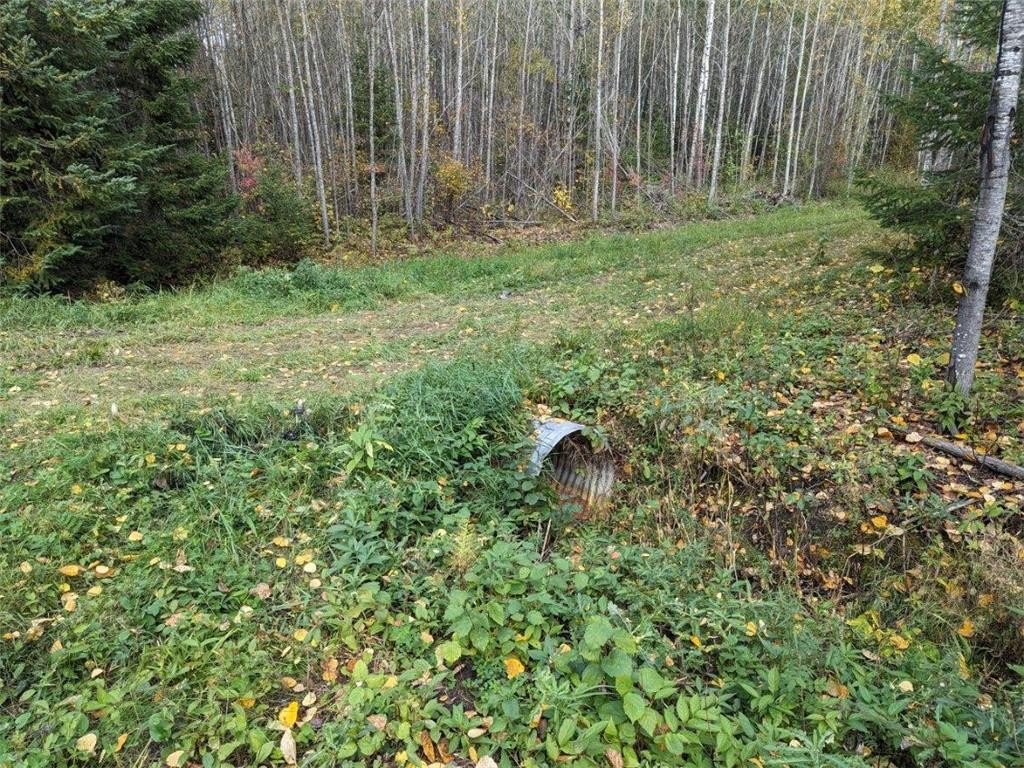 Picture 3