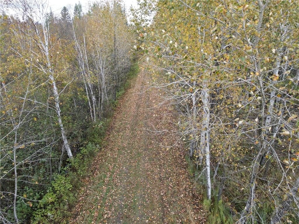 Picture 15