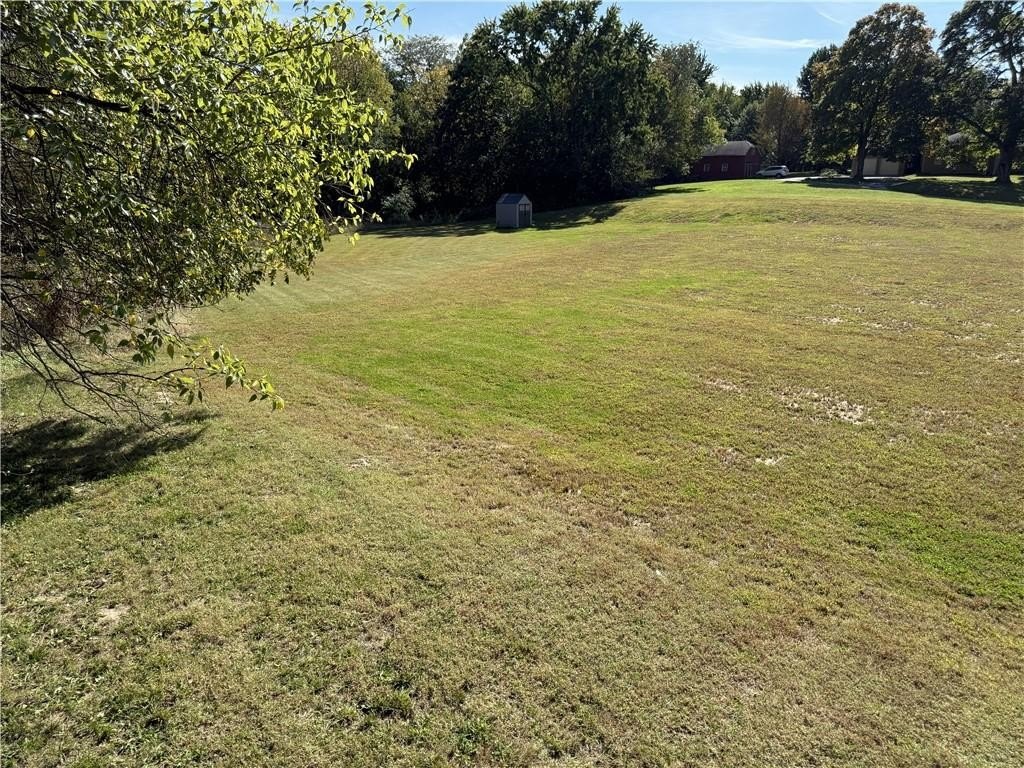 Picture 17