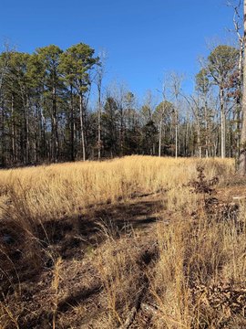 Land with Scenic Views