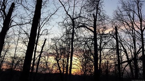 Secluded Wooded Acreage for Outdoor Enthusiasts