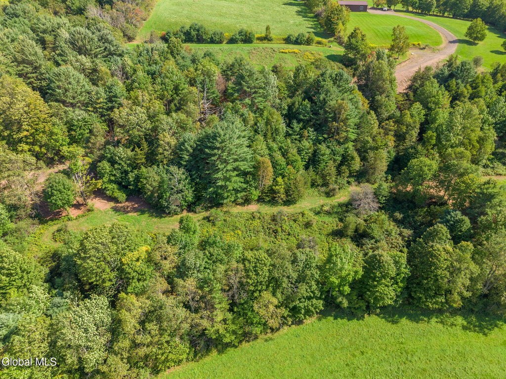 Picture 17