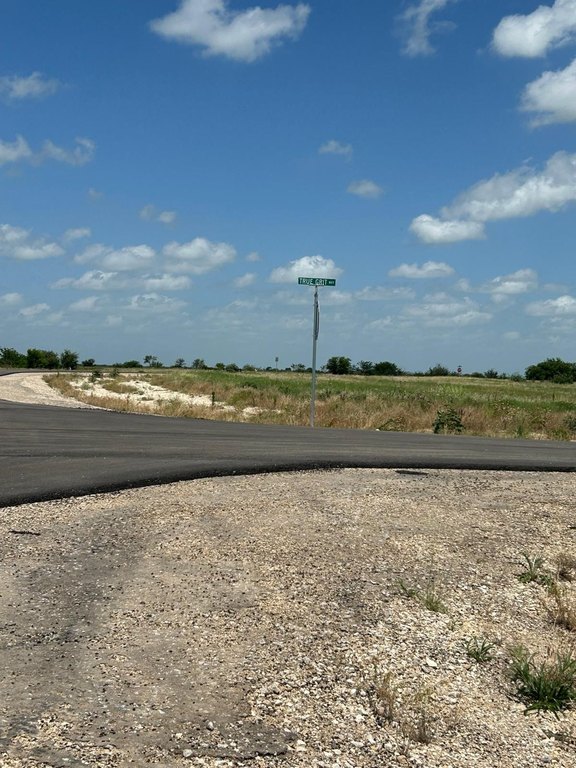 Picture 6
