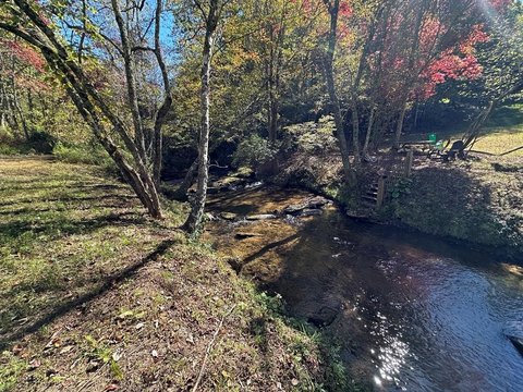 Creek Front Lot in Georgia