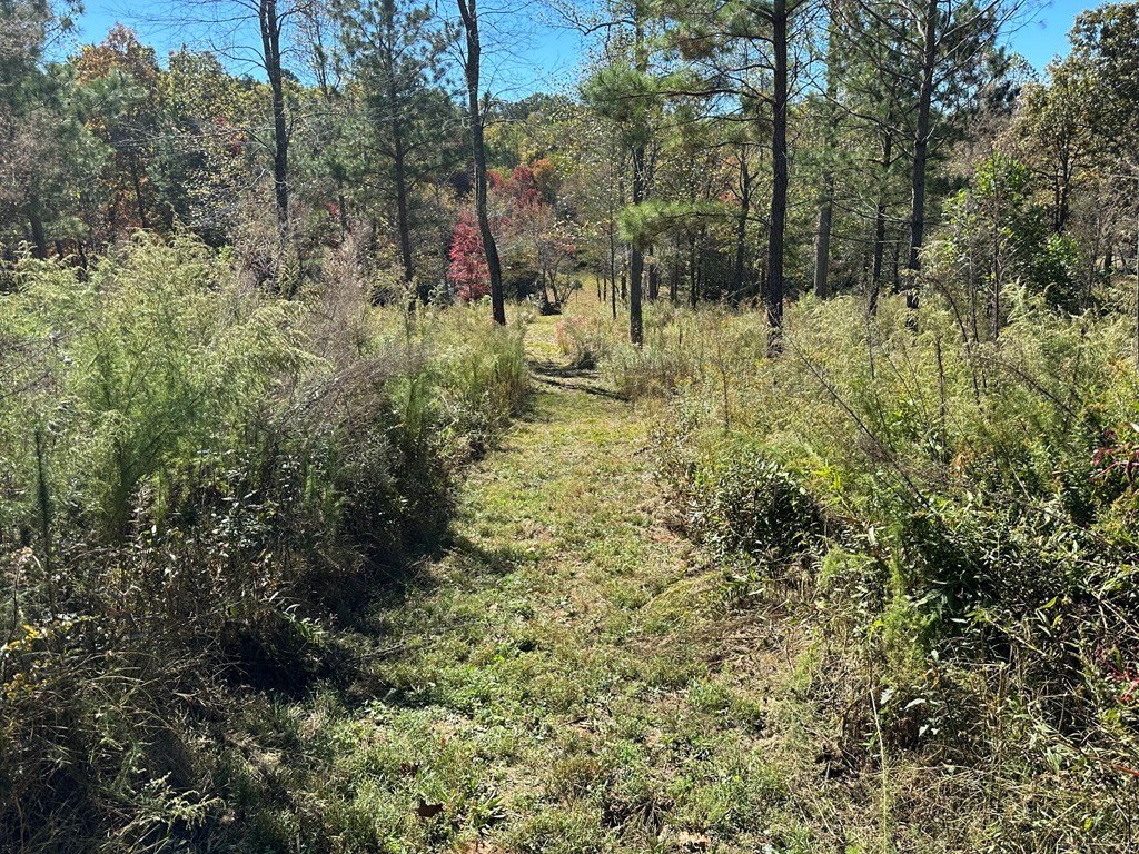 Picture 6
