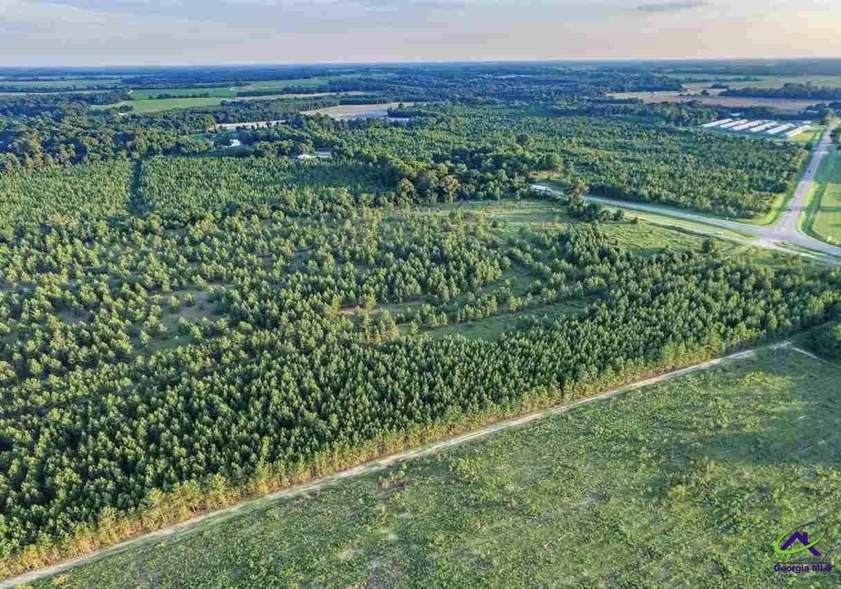 Hawkinsville Land Parcel For Sale