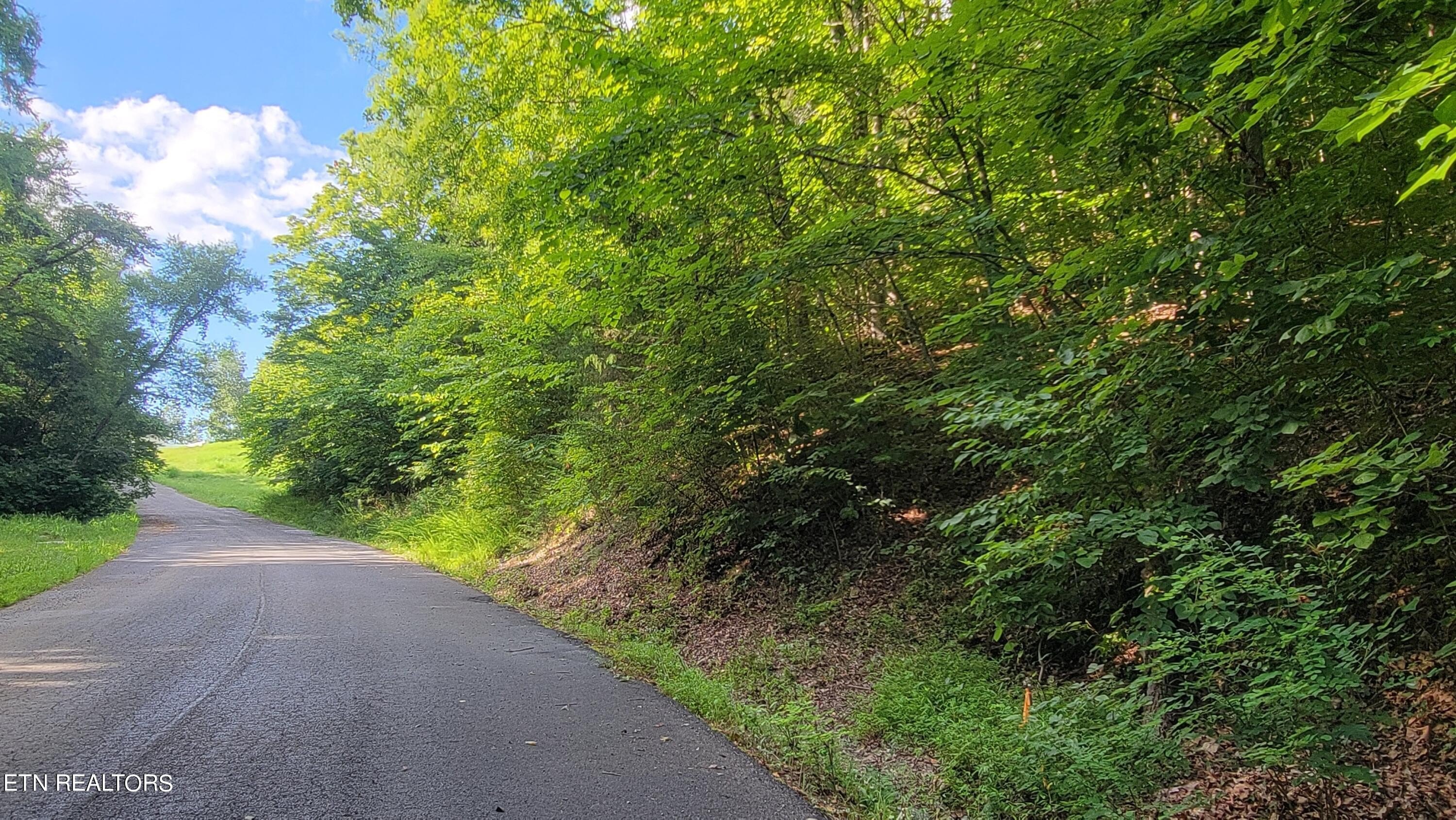 Residential Land in Newport, TN
