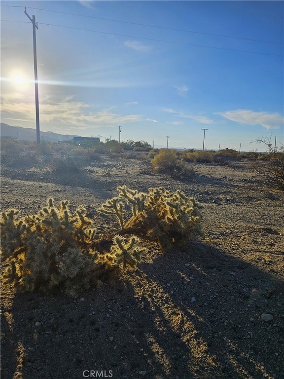 Picture 5