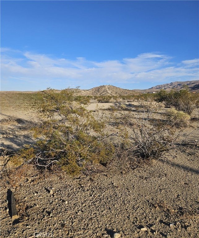 Picture 6