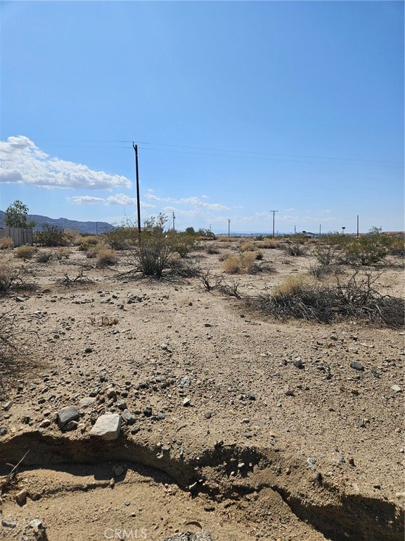 Picture 12