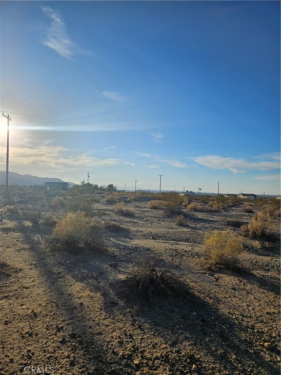 Picture 11