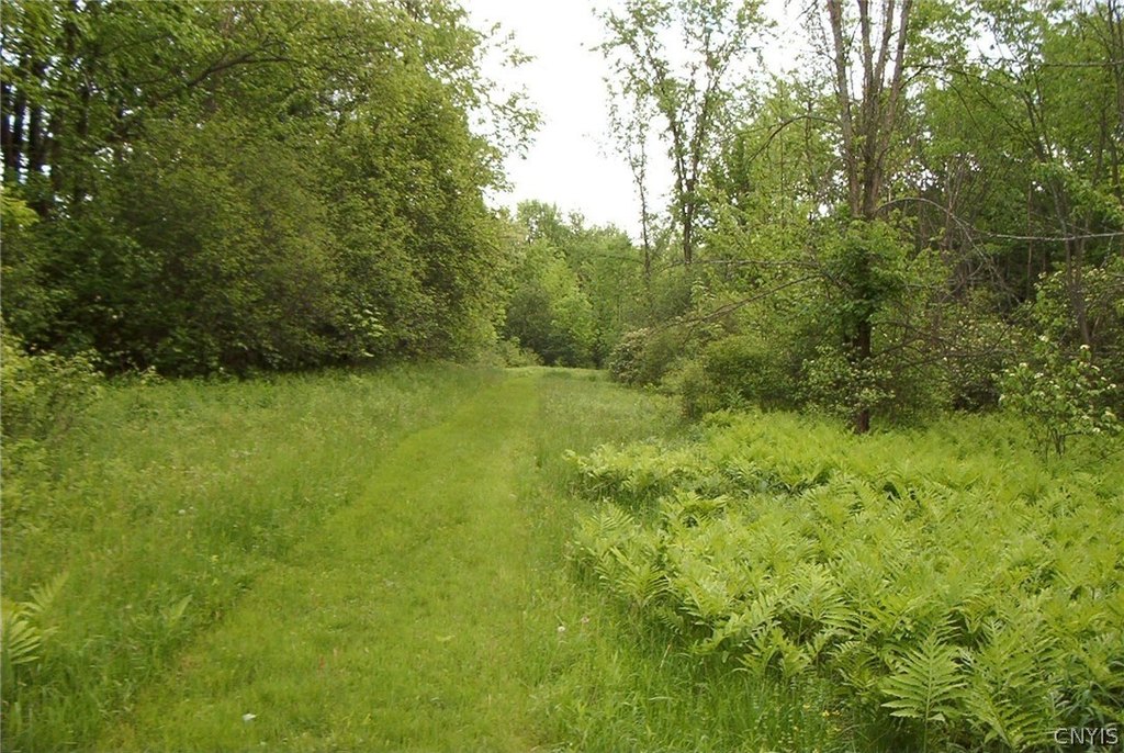 Picture 13