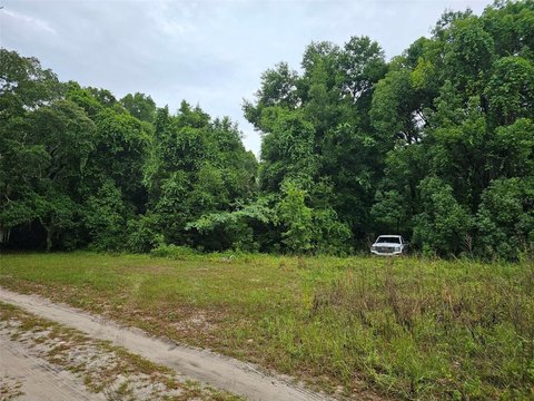 Ocklawaha Land Near Lake Weir