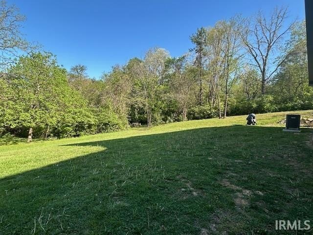 Picture 19