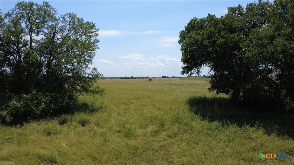 Picture 15