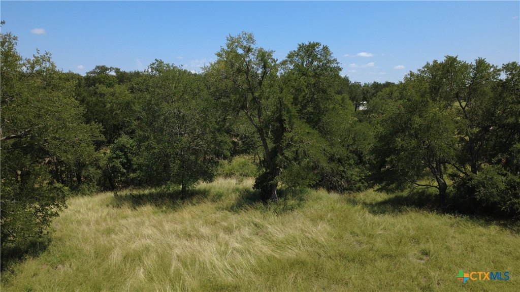 Picture 24