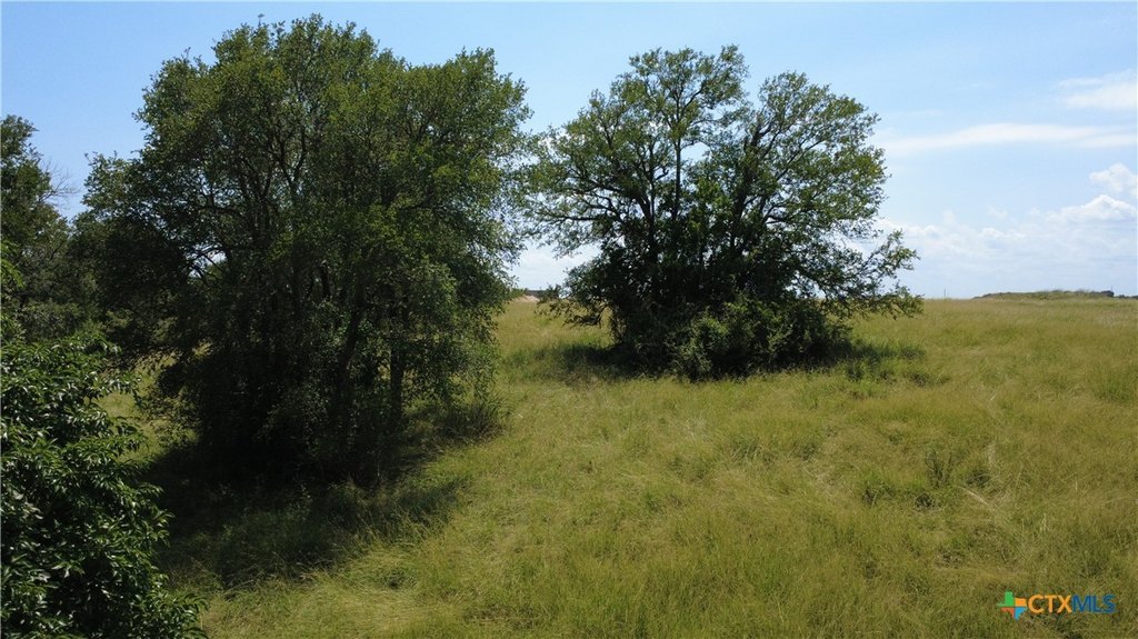 Picture 25