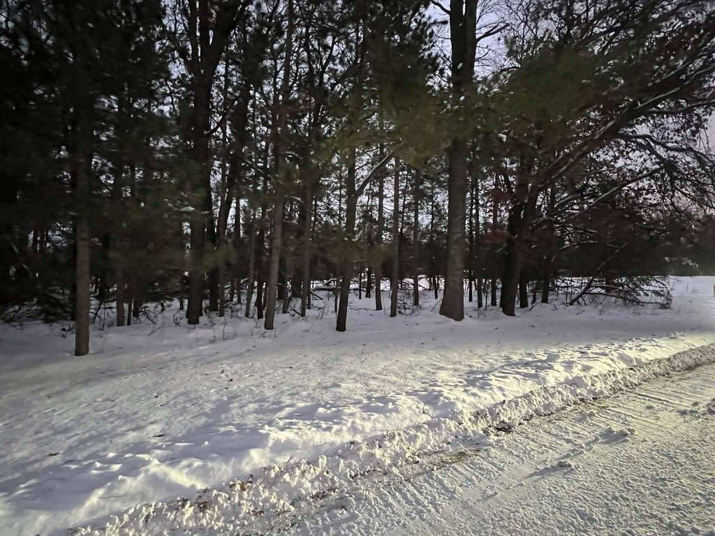 Picture 2