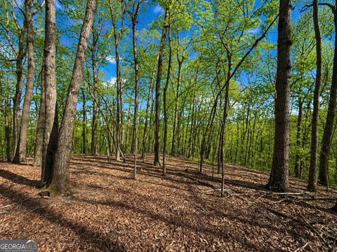 Jasper, GA Homesite in Community