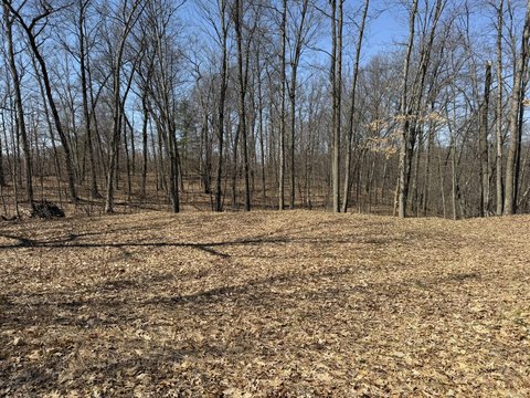 Irons, MI Wooded Land Parcel