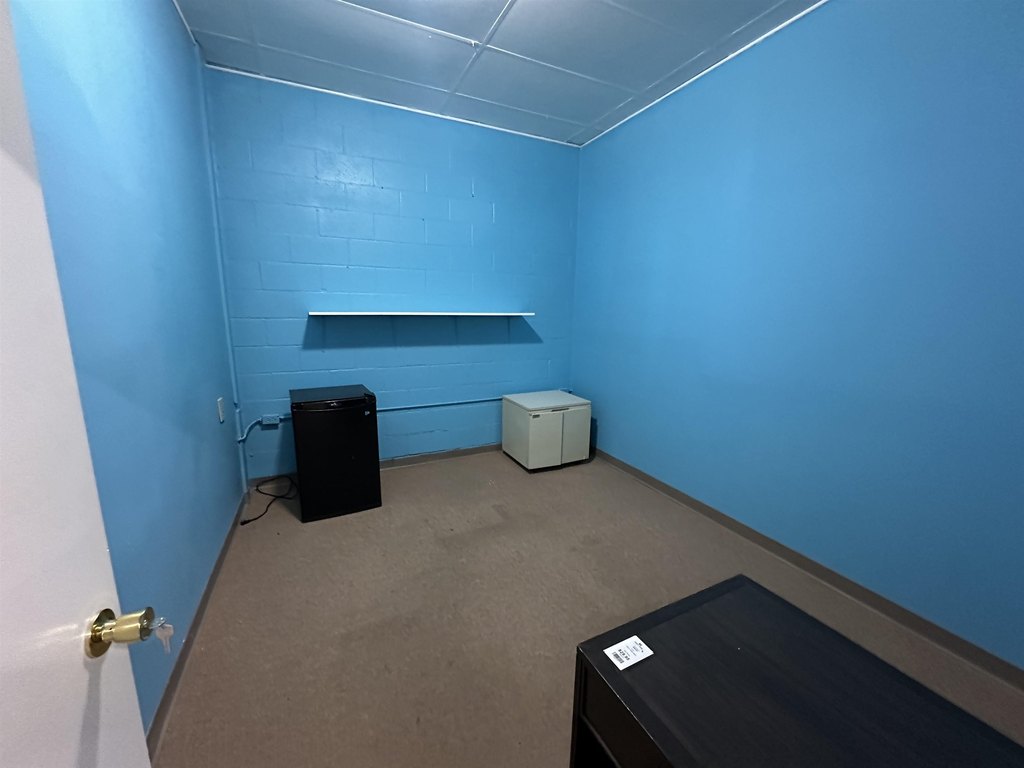 Picture 15