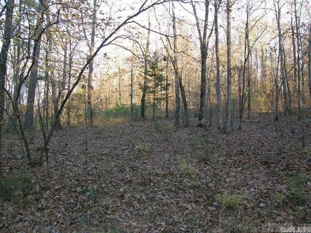 Picture 17