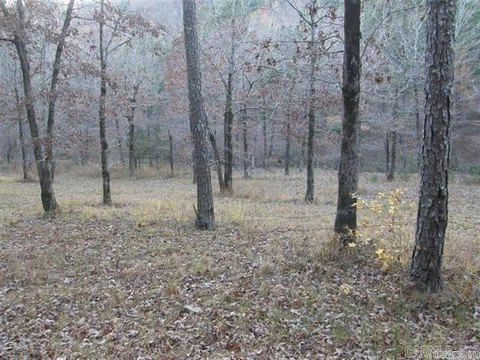Mena, AR Land with Water