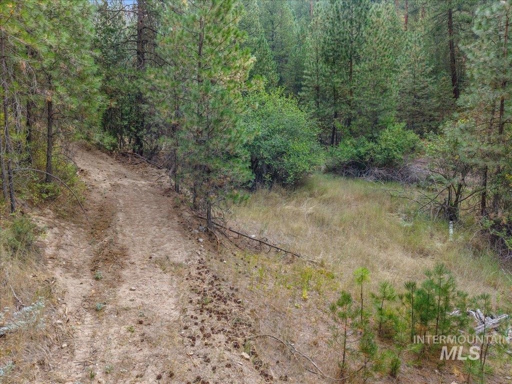 Picture 6