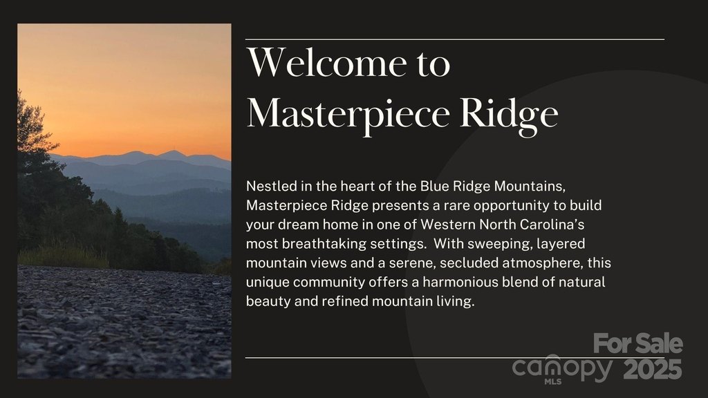 Picture 29