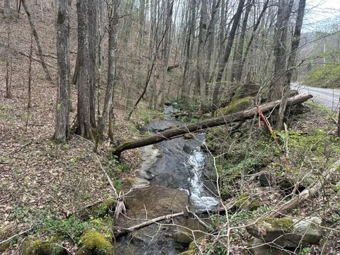 Wooded Land with Creek Frontage