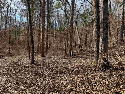 Recreational Timber Land Tract