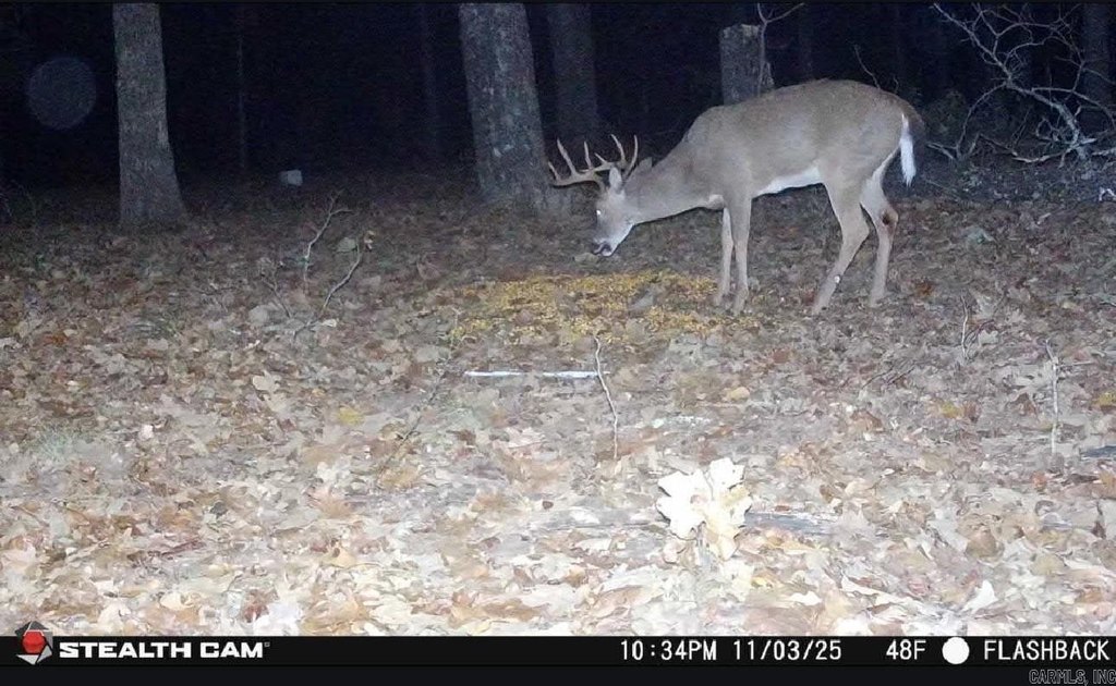 Picture 11
