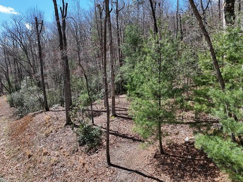 Blue Ridge Mountain Homesite